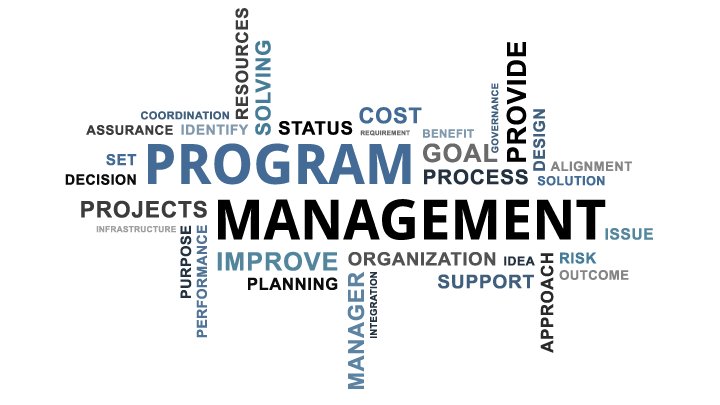 Programme & Project Management